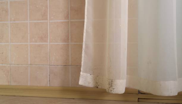 Best Water Damage & Mold Remediation  in Pell City, AL