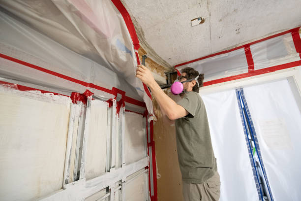  Pell City, AL Mold Removal Pros